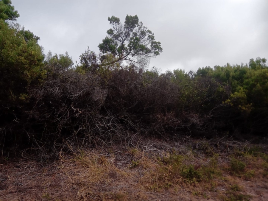 Commercial Property for Sale in Paradise Beach Eastern Cape